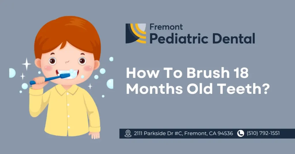 How To Brush 18 Month Old Teeth