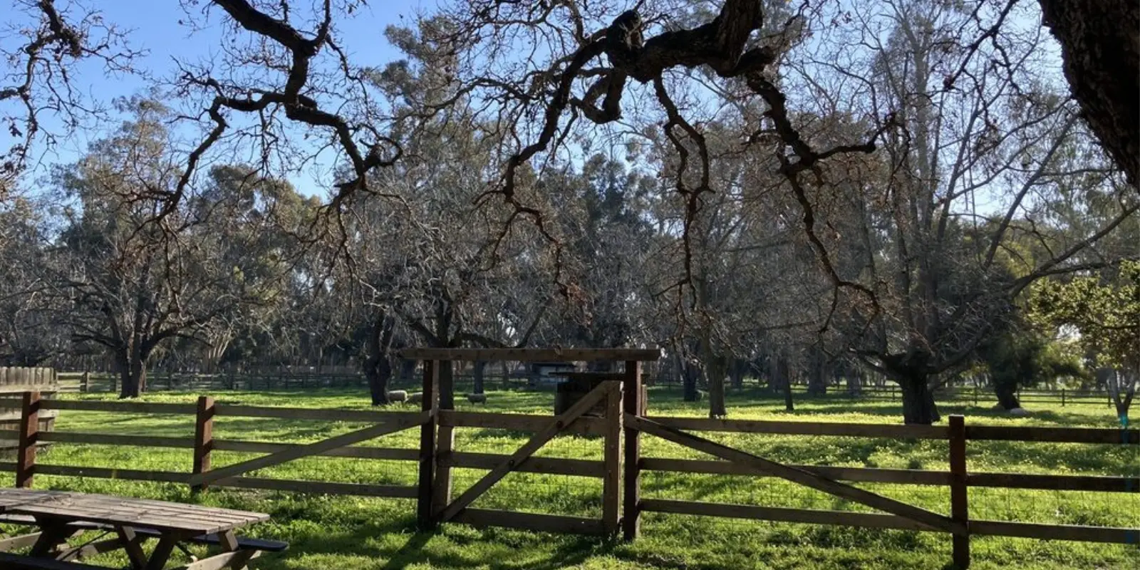 Ardenwood Historic Farm Near to Fermont Pediatric Dental