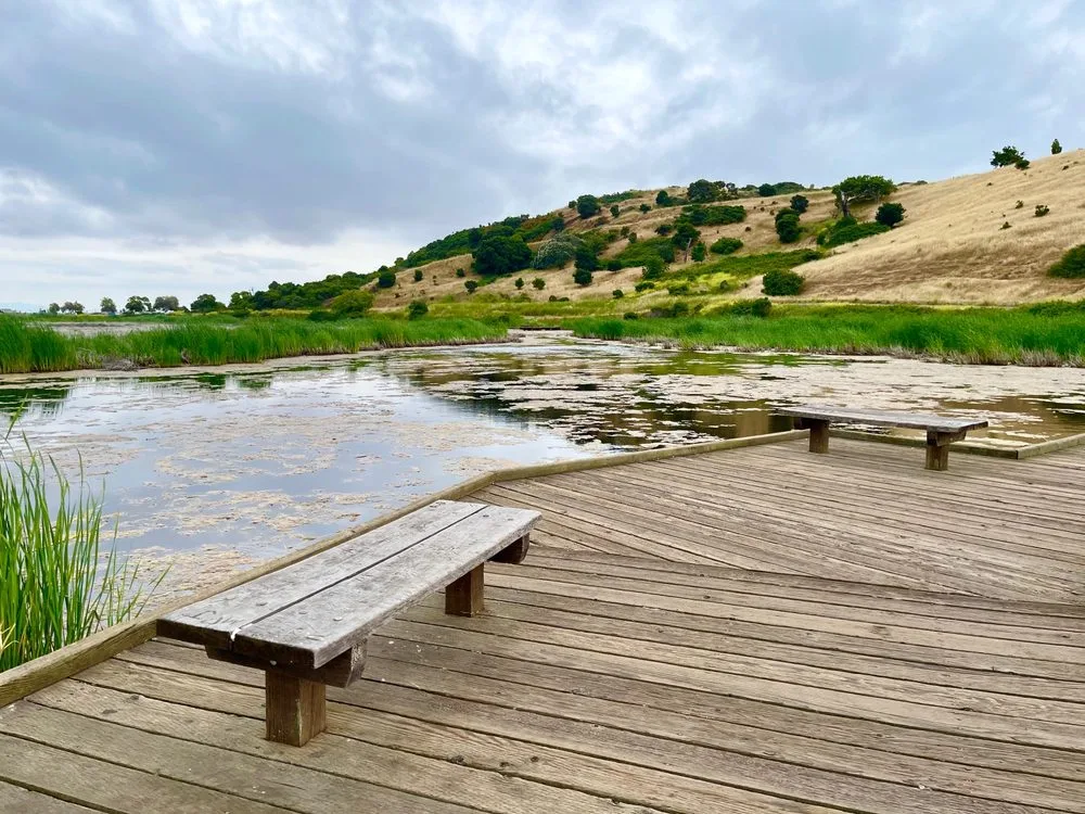 Coyote Hills Regional Park Near to Fermont Pediatric Dental