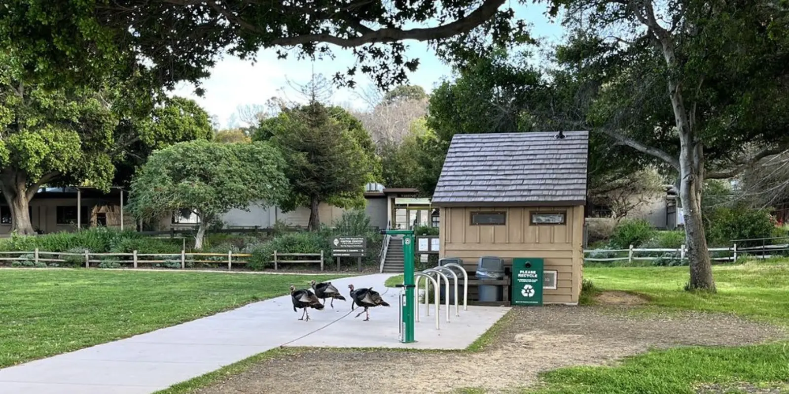 Coyote Hills Regional Park Near to Fremont Pediatric Dental